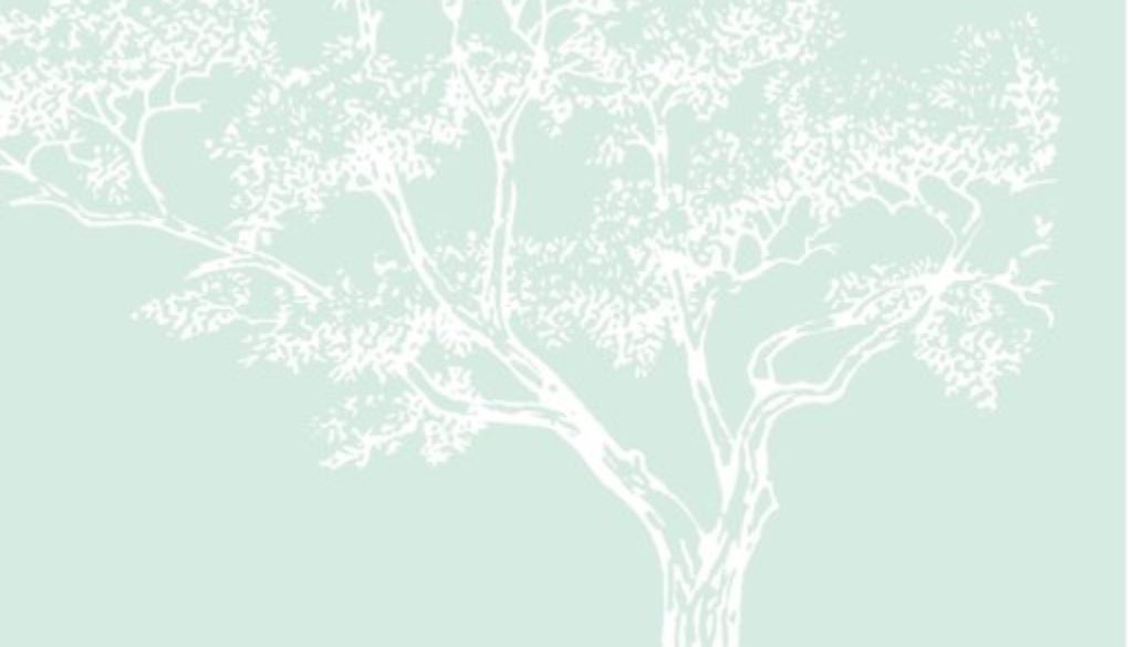 aere_logo