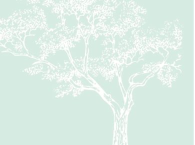 aere_logo