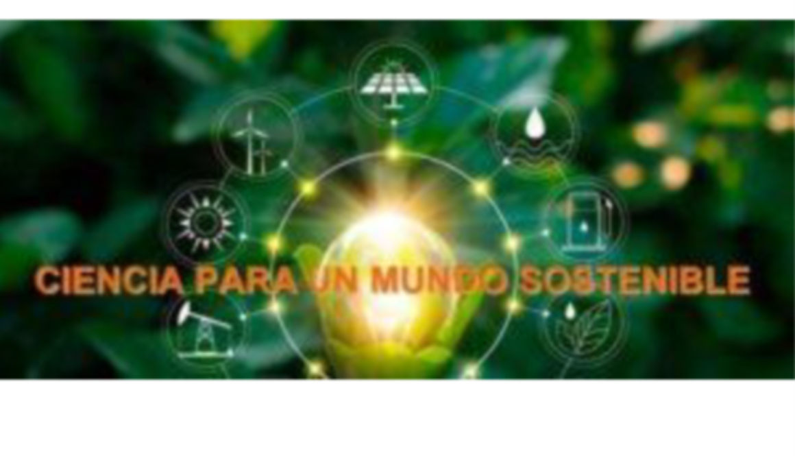 Imagen1 1