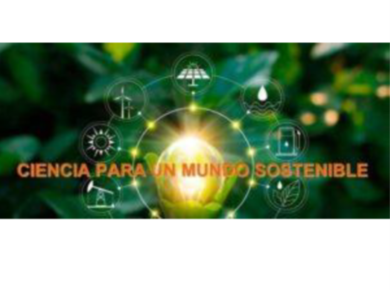 Imagen1 1