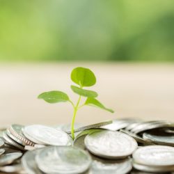GREEN FINANCE
